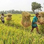 সাইবার নিরাপত্তা: ব্যক্তিগত সতর্কতাই হোক প্রথম অস্ত্র