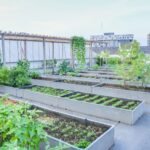 ঘুমানোর আগে মোবাইল ব্যবহার: যেভাবে ক্ষতি হচ্ছে আপনার চোখের