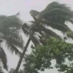 জ্বালানী তেলের জন্য হাহাকার, অবৈধ ভেকুর তেল আসছে কোত্থেকে?