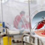 বাংলাদেশে বিদেশি বিনিয়োগ বাড়ছে, নতুন ইকোনমিক জোনে শিল্প স্থাপন