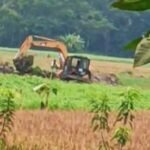২৪ ঘণ্টায় হাম ও হামের উপসর্গ নিয়ে আরও ১১ শিশুর মৃত্যু