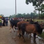 ঝিনাইদহে এনসিপির মূখ্য সংগঠক নাসির উদ্দিন পাটোয়ারির উপর হামলা