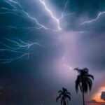 নারীসহ গ্রেফতার যুবদল নেতাকে বহিষ্কার